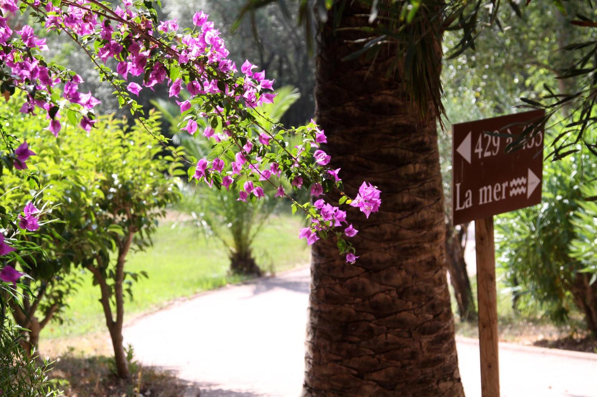 Residence Castell'Verde Porto-Vecchio  Exterior foto